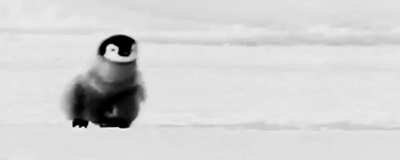 【~吸血小妖~】吸分大法~貌似好几天木有发功了