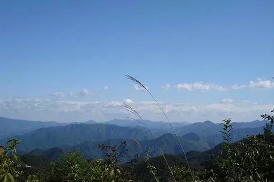 如何完美霸气得占领微信运动封面!