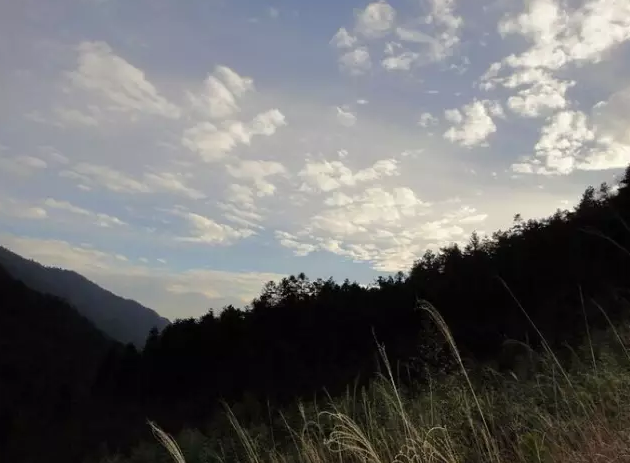 如何完美霸气得占领微信运动封面!