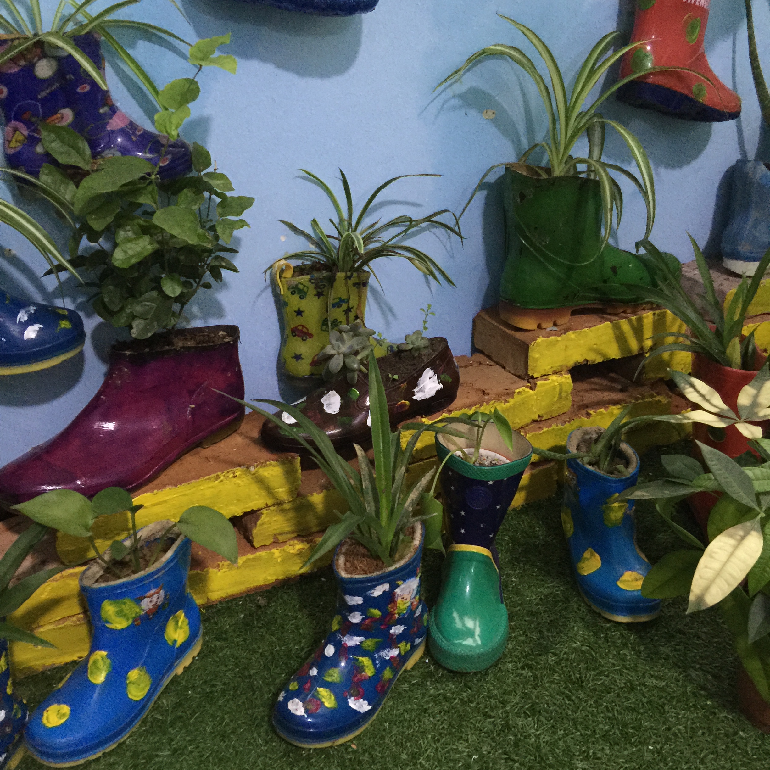 废旧套鞋里种花,我们幼儿园也有创意哦!