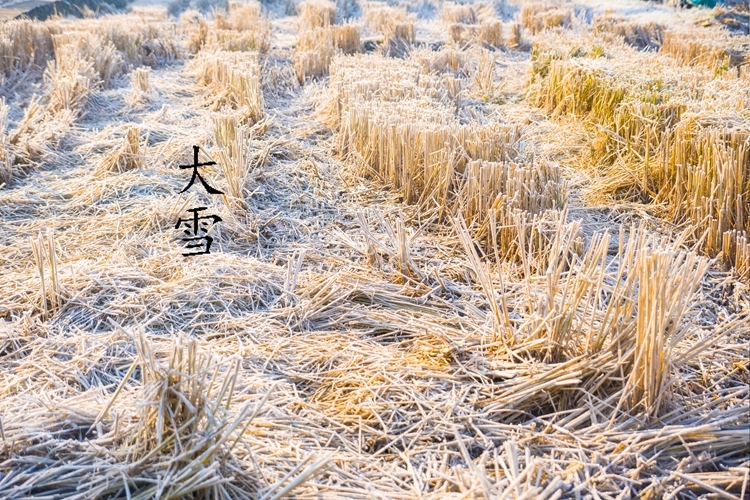 这不,这几天一起床就看到外面白花花的一片 说的是霜 你在北方看大雪