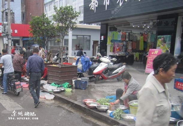 余姚市泗门镇人口_余姚市泗门镇(3)