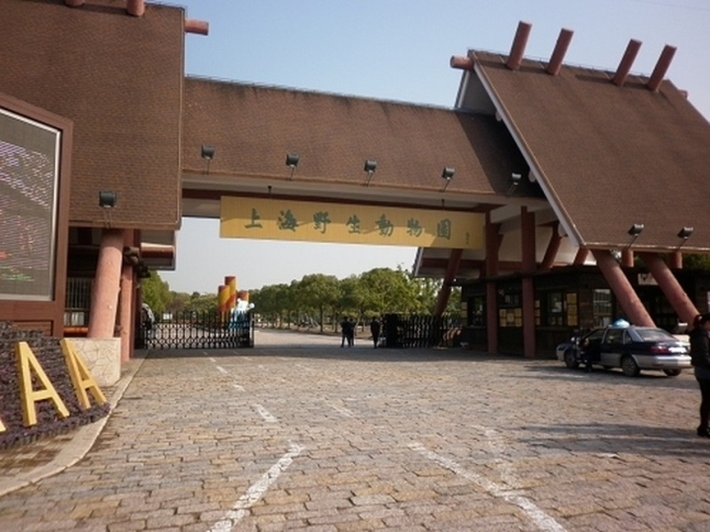上海野生动物园1日游