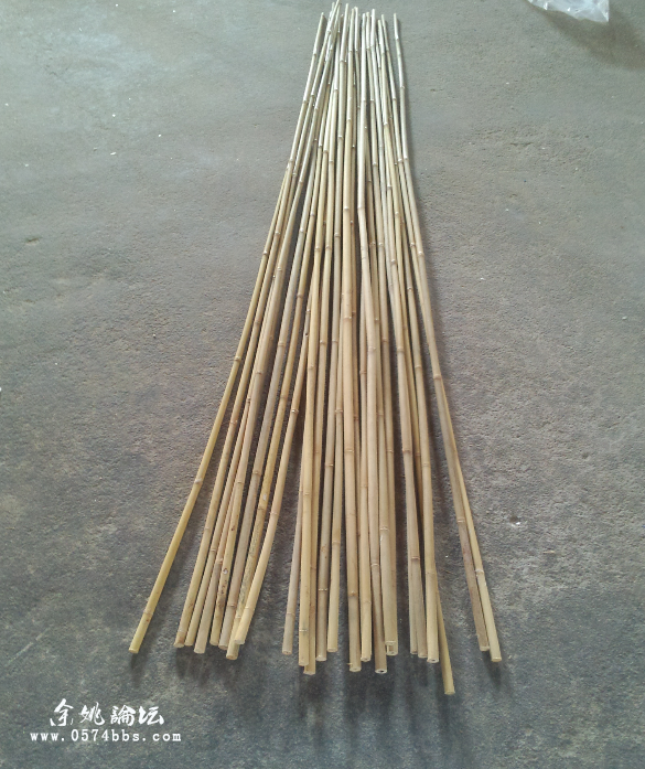 bamboo stakes.jpg