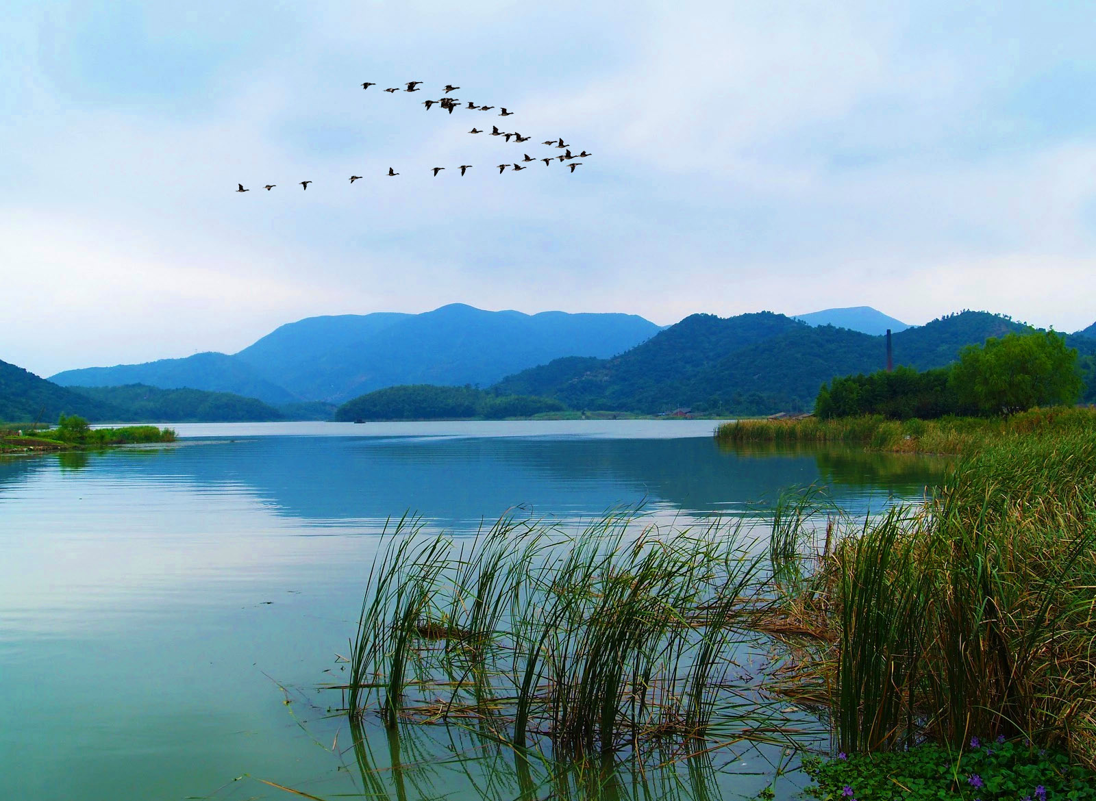 慈溪白洋湖风景