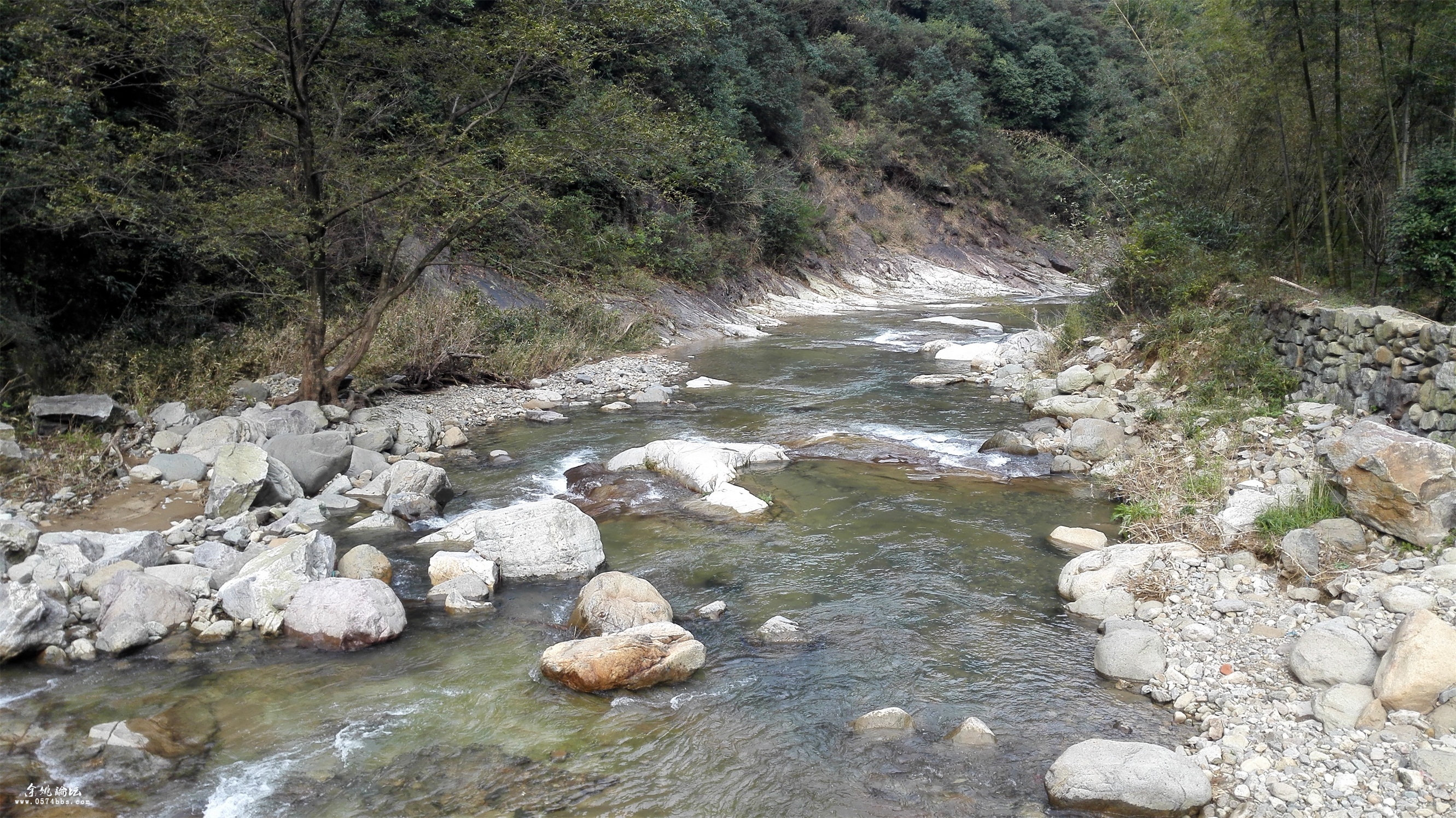 賞芝林山水走紅色古道