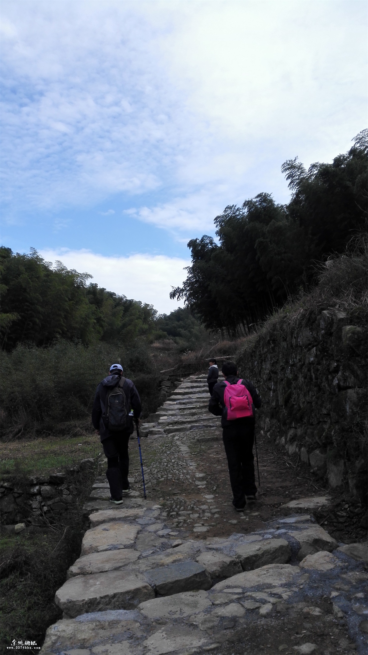 赏芝林山水走红色古道