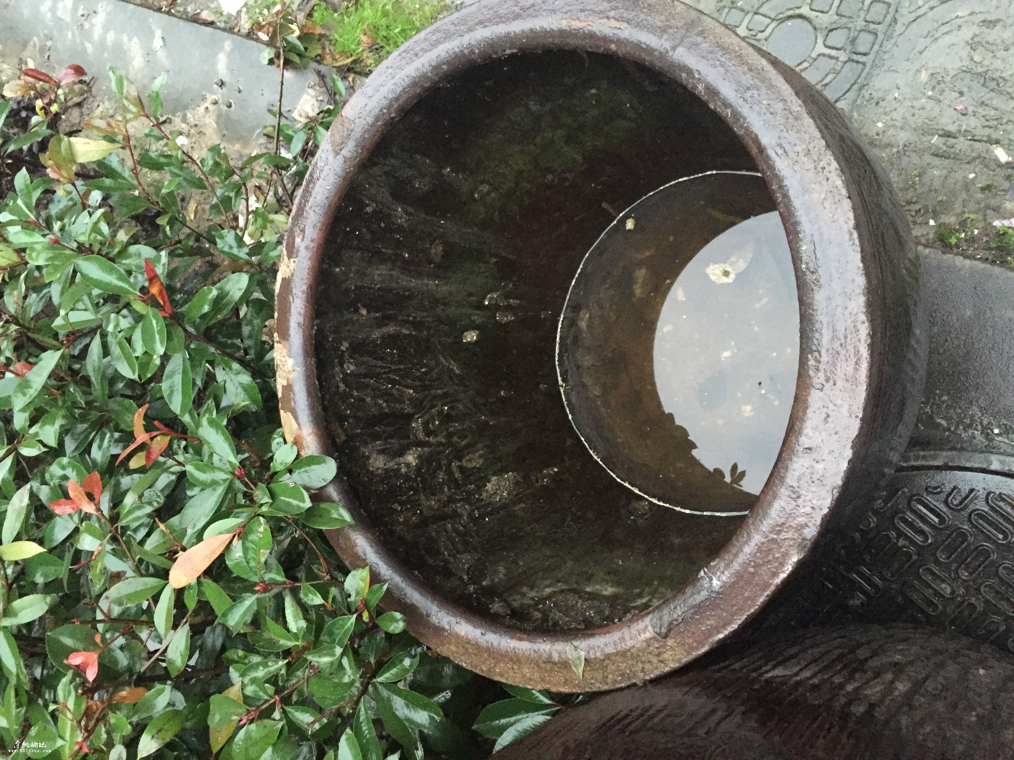 出两口小水缸开口75cm60cm用处多多