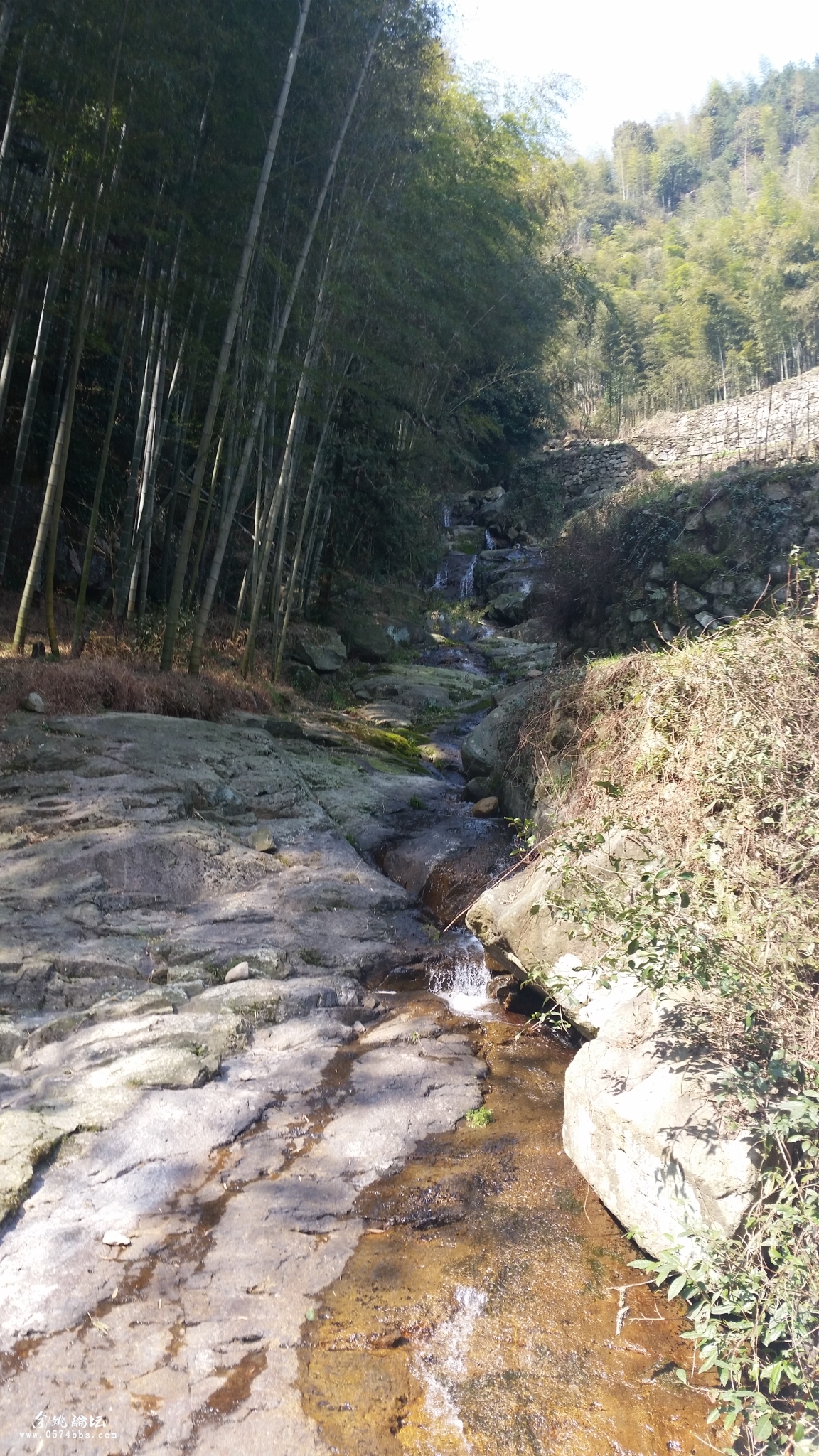 徒步餘姚上王,魯岙,陸埠石門,燕窩