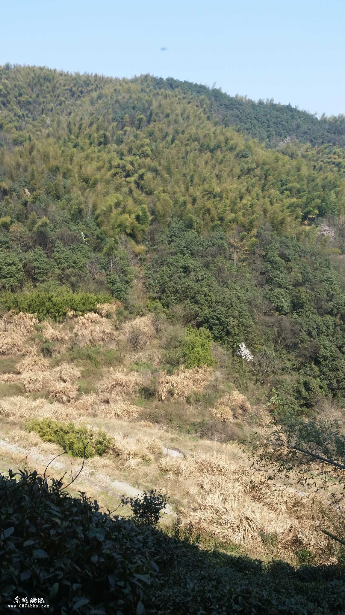 徒步餘姚上王,魯岙,陸埠石門,燕窩