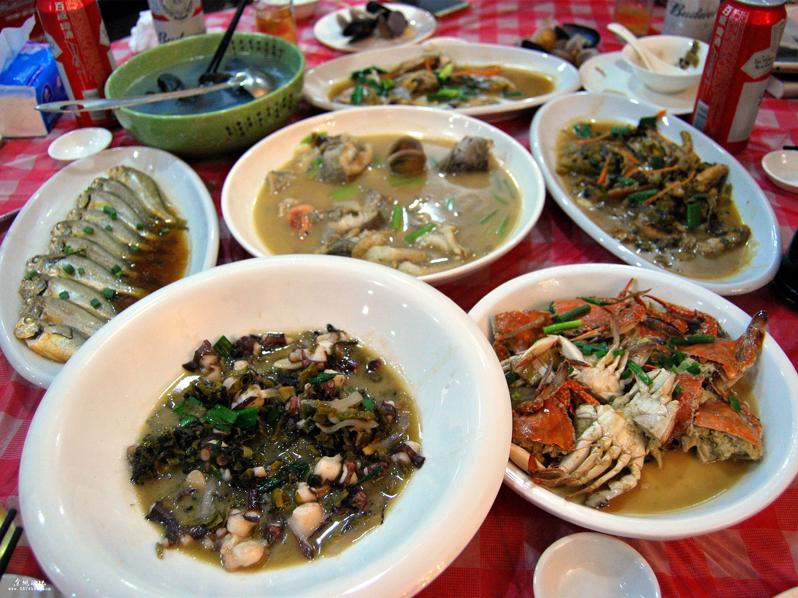 【户外美景】美丽鹿西岛,腐败2日游