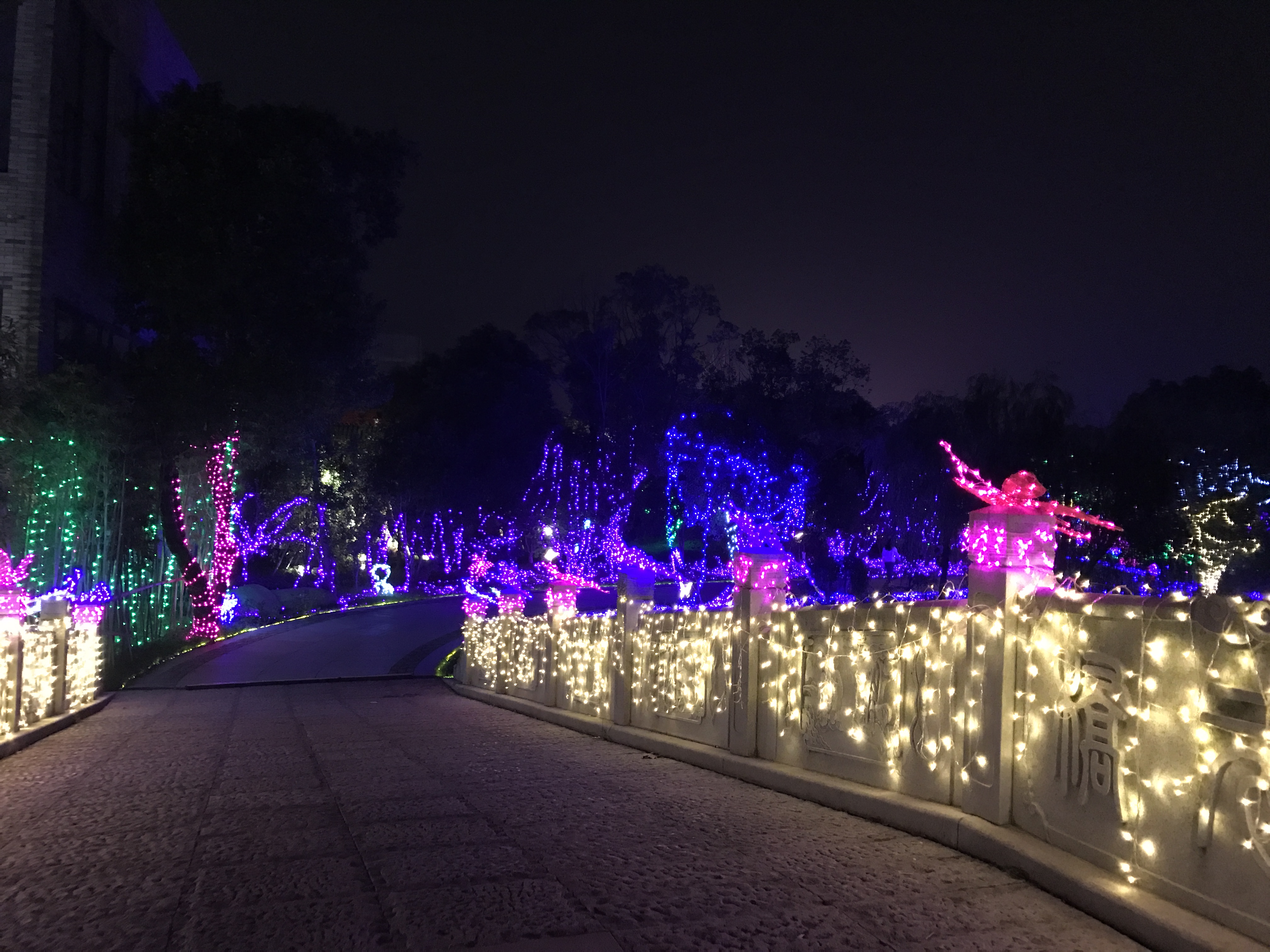 梁祝文化公园夜景图片