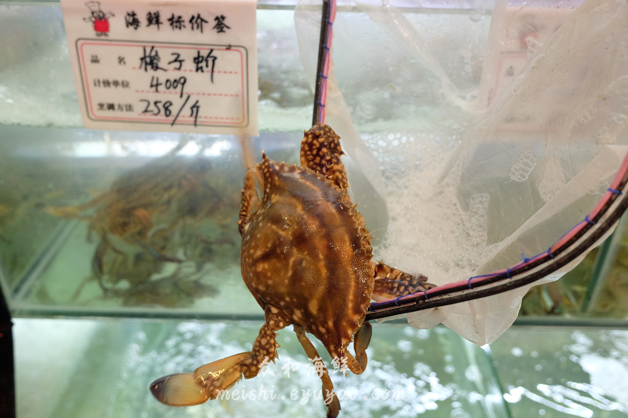 DSCF1291.jpg