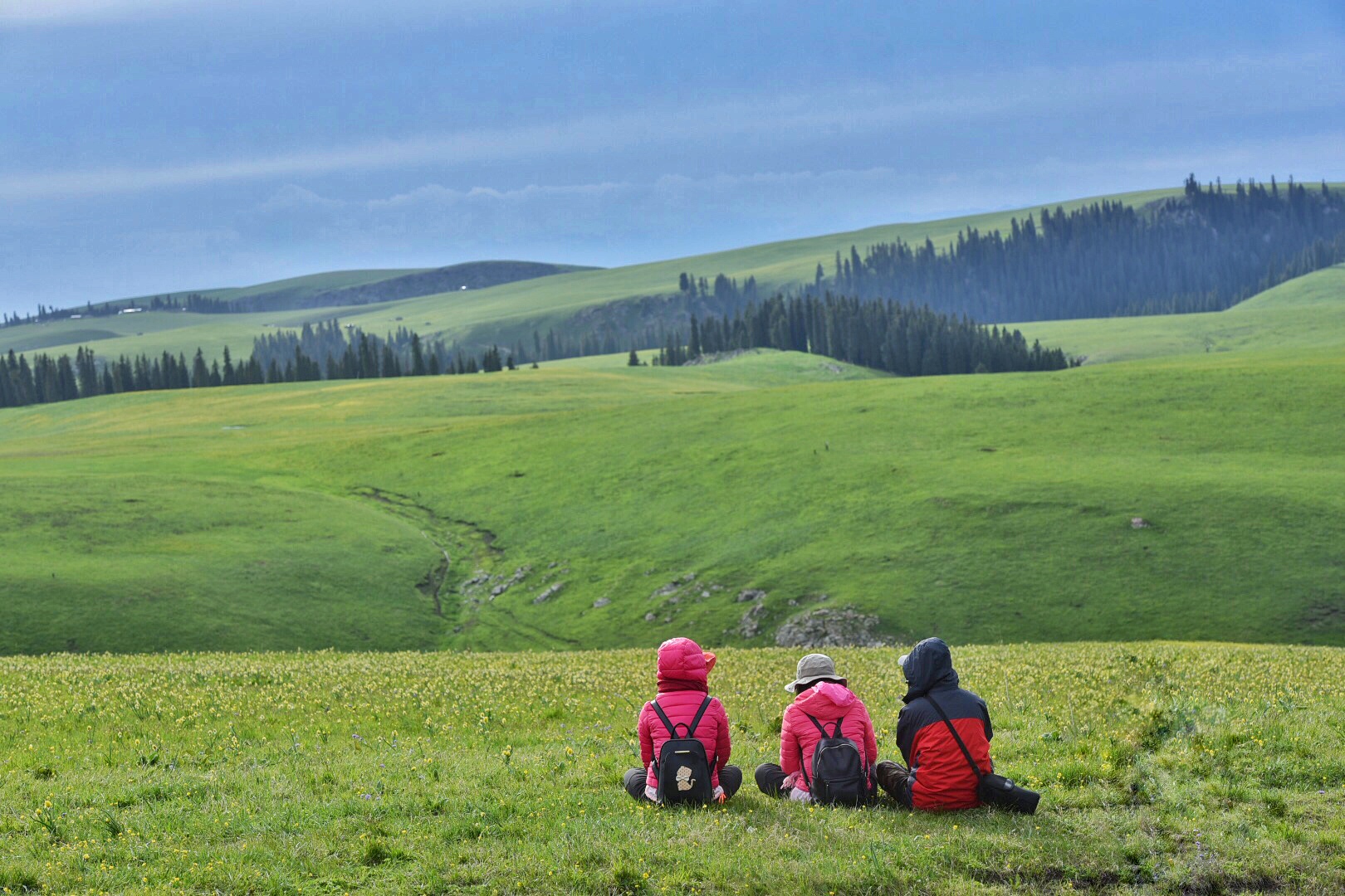 真相就这样一直坐着,看看草,晒晒太阳.