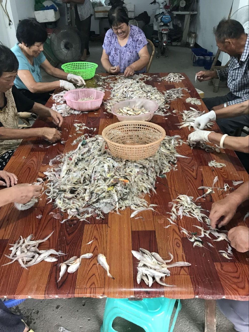 QQͼƬ20170828150531.jpg