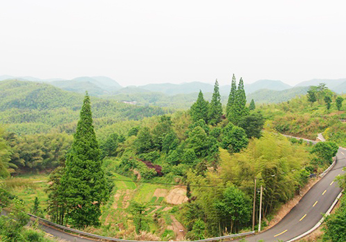 陆埠裘岙古道