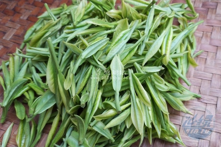 余姚瀑布仙茗宁波白茶新茶上市