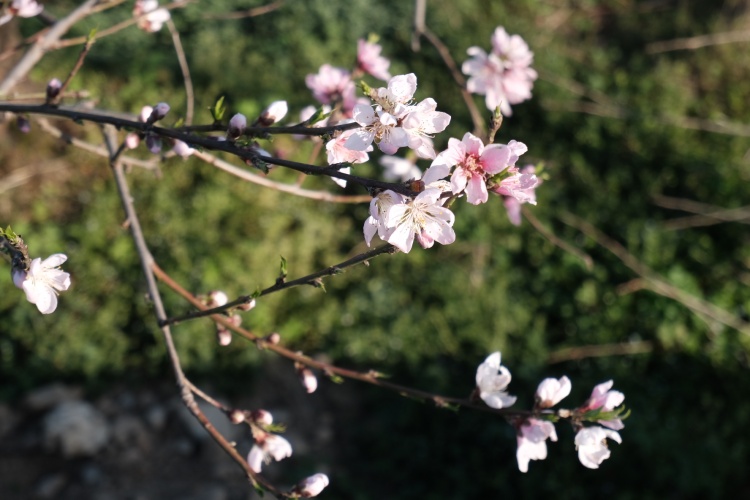 F10FA6EF-C058-4EA7-ACAA-275BAECF0A7A.jpg