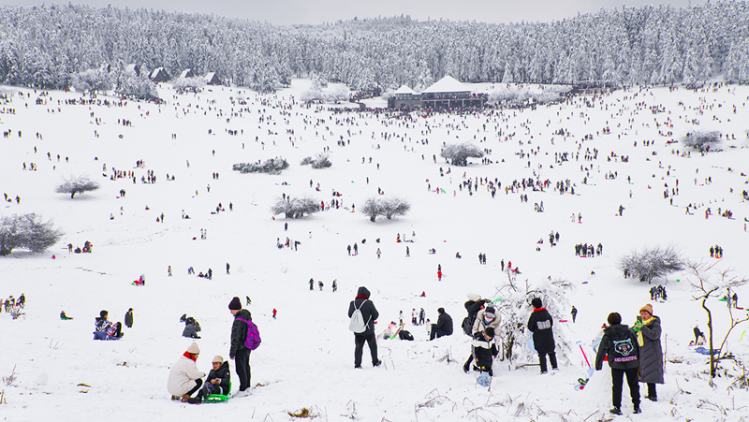 重庆人的冬天，一定要去仙女山看一场唯美冰雪盛宴-第6张图片-便民百事通网